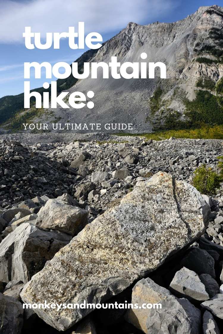 guide to turtle mountain hike