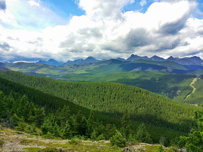 Gorgeous views of the Crowsnest Pass from Turtle Mountain.