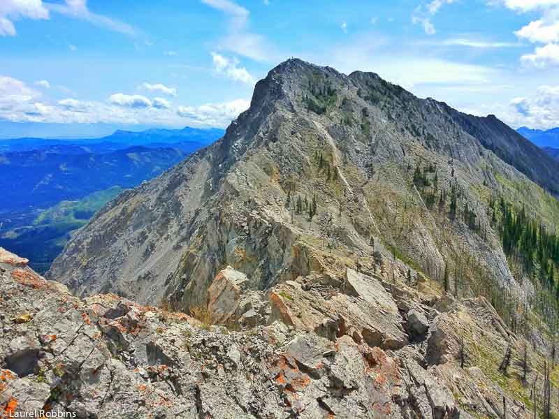 Turtle Mountain Summit