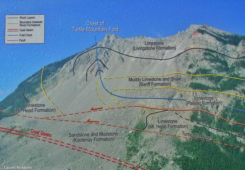 Diagram showing the fault lines and coal seams in Turtle Mountain