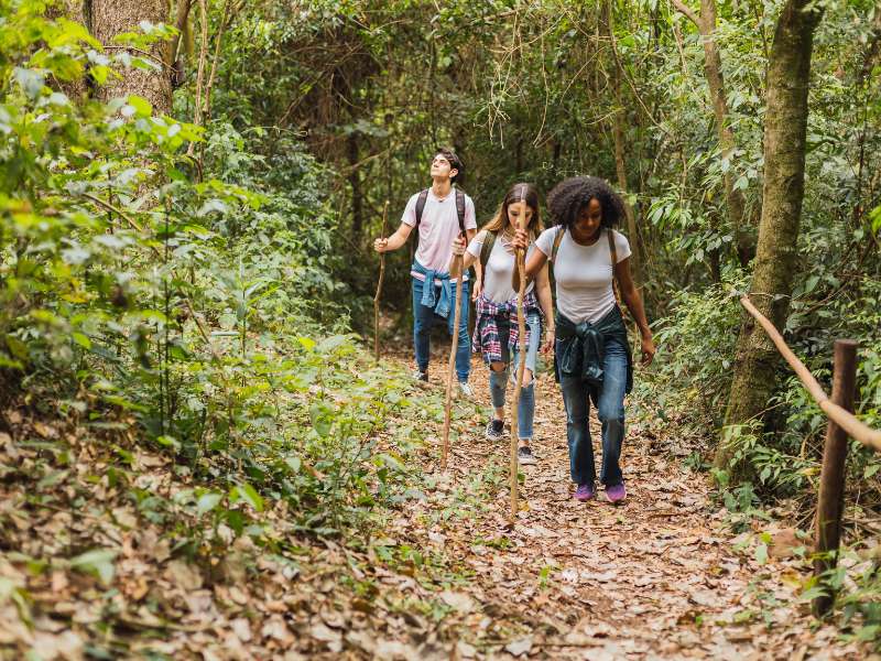 group of friends walking in a hiking trail