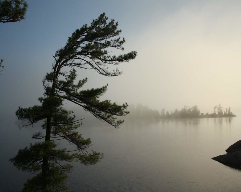 Even a misty day in Georgian Bay Islands National Park is something you don't want to miss. 