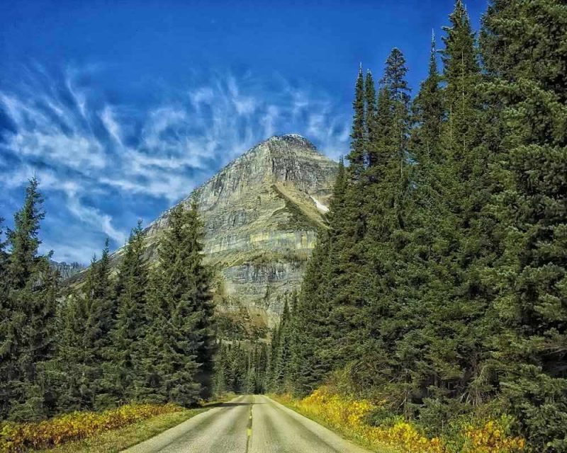 Glacier National Park is one of my favourite places. The magnificent landscape is full of new and wonderful things to discover