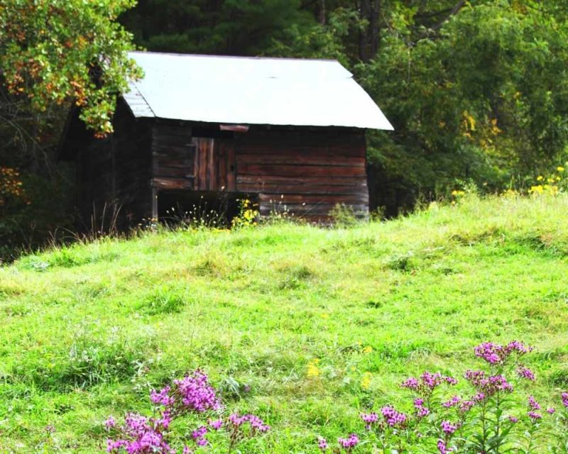 Abandoned cabin on the Goldmine Loop Trail on the Road to Nowhere.