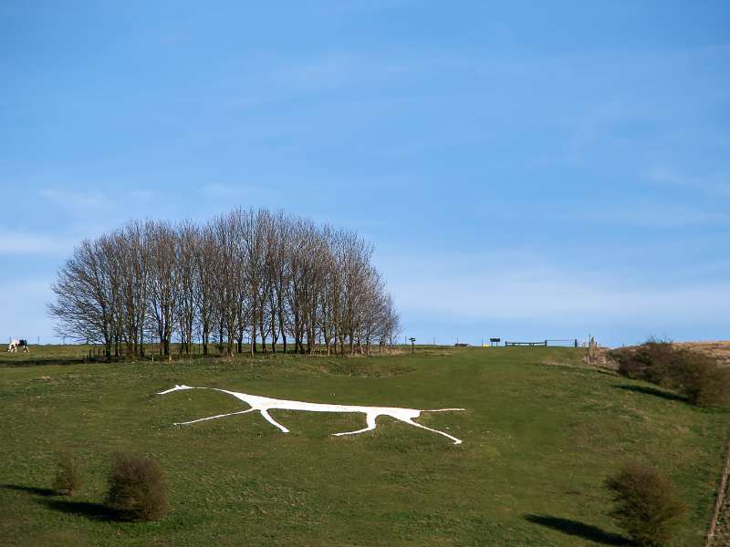 Hackpen Whitehorse on the Ridgeway Walk