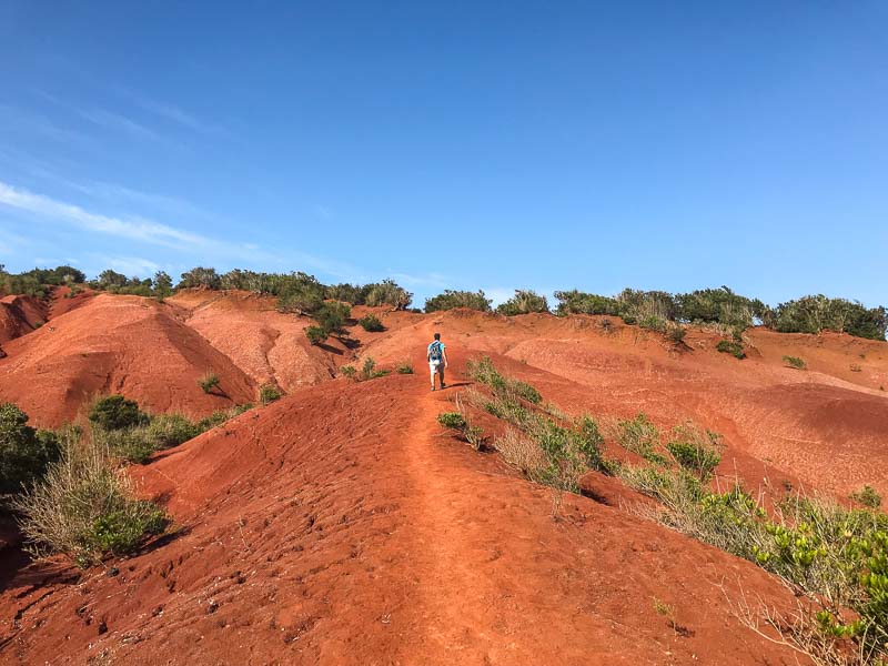 the hiking landscape in La Gomera changes drmatically