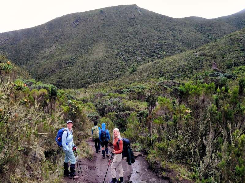 hikers hiking for Kilimanjaro tour - Lemosho route