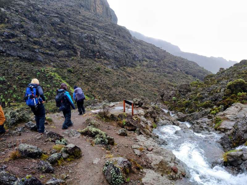 kilimanjaro tour,Lemosho route