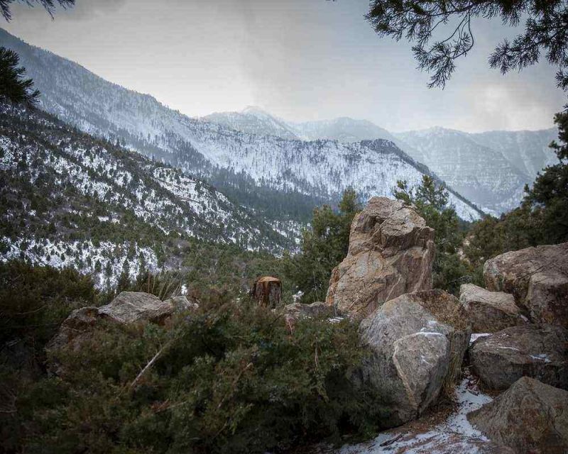 Mount Charleston is clos e to Las Vegas and offers a very different landscape than you would expect.