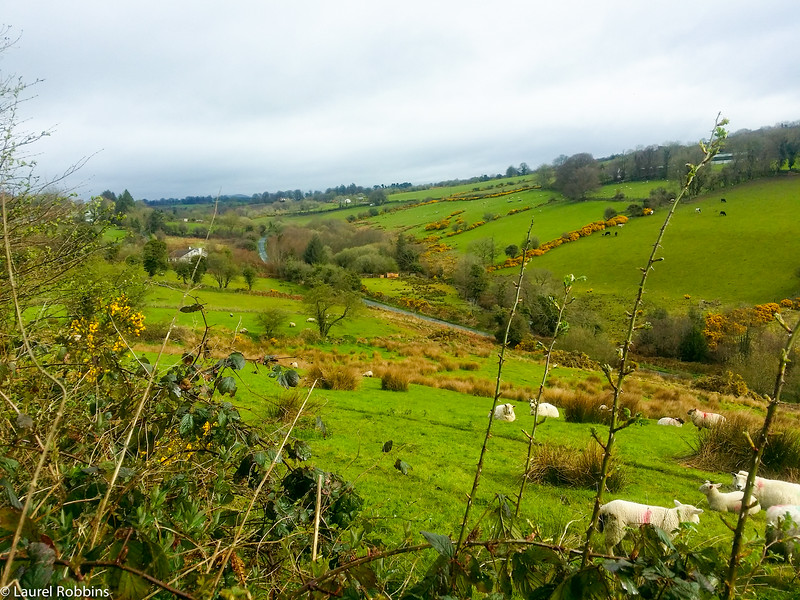 Wicklow Way between Shillelagh and Moyne, Ireland