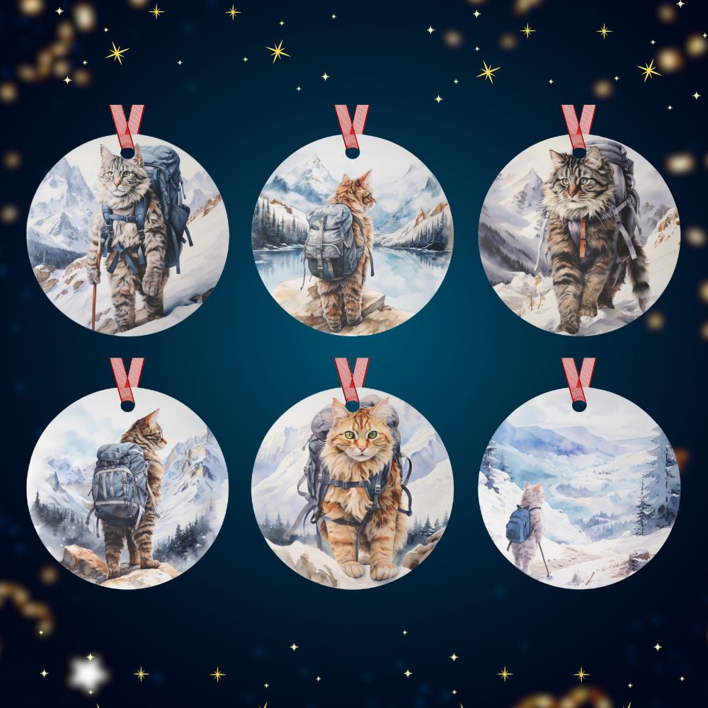 hiking cat christmas ornmaments