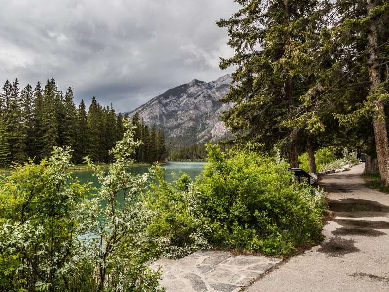 easy hikes at fenland trail