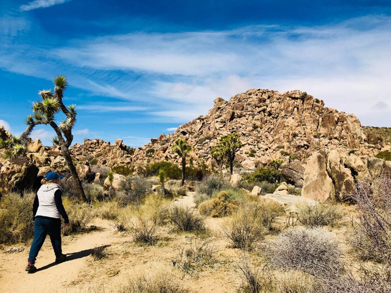 best hikes in Joshua Tree