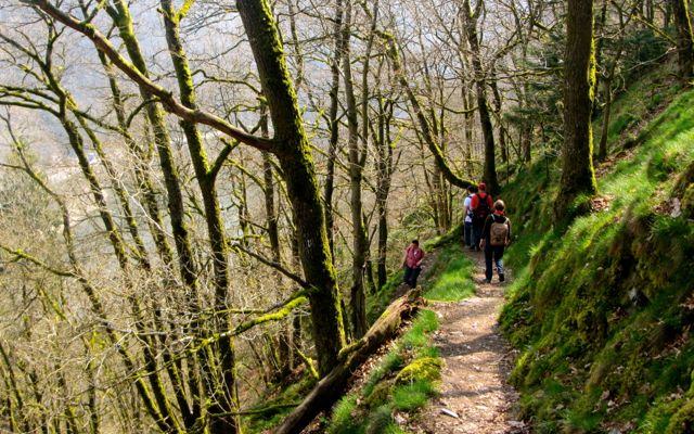 hiking path in the Luxembourg Ardennes