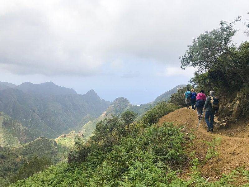 The Canary Islands are one of the best places to visit in January in Europe. There is so much to explore here, you won't be bored.