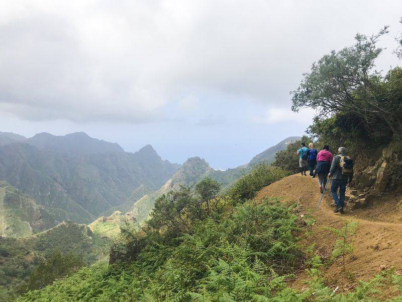 Tenerife offers some fo the most diverse hiking trails in Europe