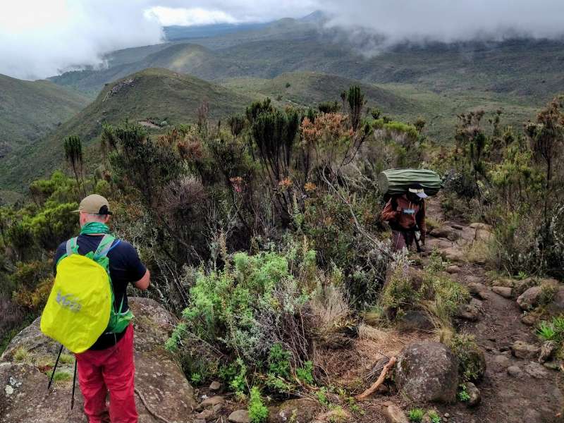 hikers in a trail of Kilimanjaro - Lemosho route