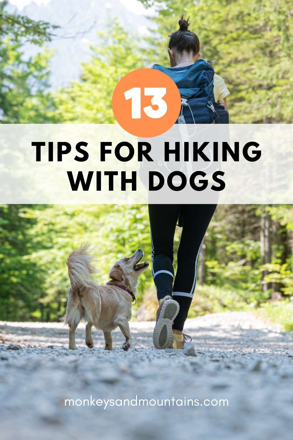 tips for hiking with dogs