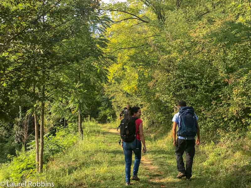 You'll hike in forests, on ridges and on roads on the Path of Gods Italy.