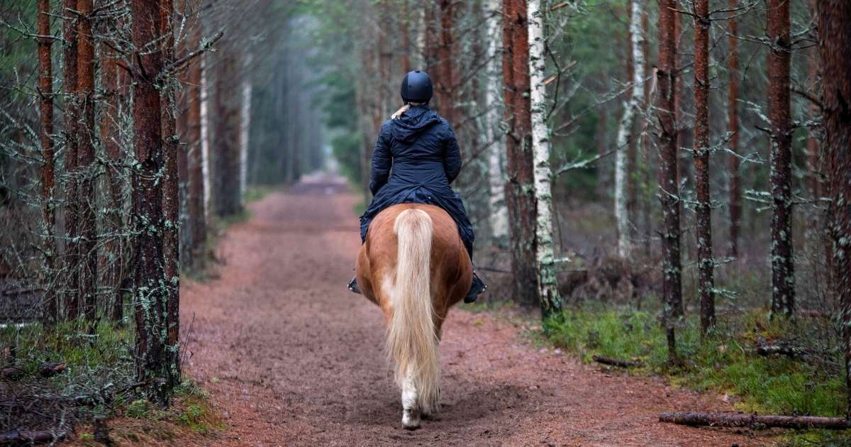 Riding is a great way to experience National Parks