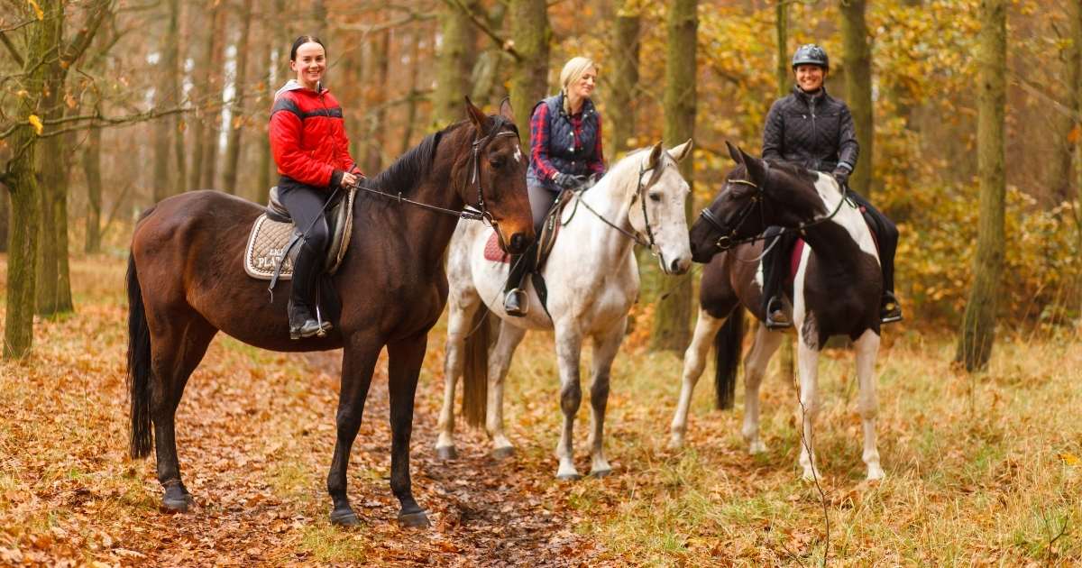 Horseback Riding Smoky Mountains