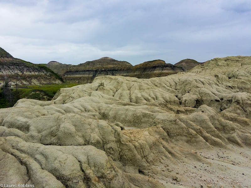 Horseshoe Canyon Drumheller Alberta Badlands