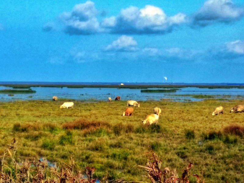 Adventure Travel - Bird Watching in Finland