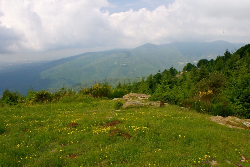 montseny natural park Turo del Home