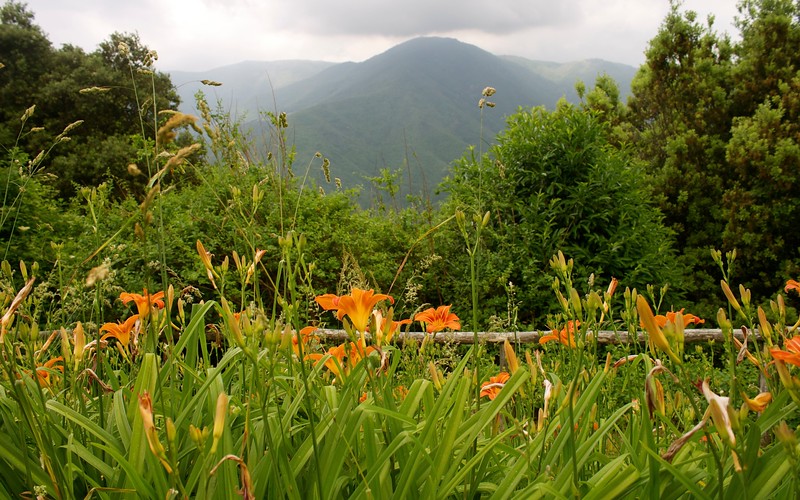 Montseny Natural Park, Catalonia, Spain