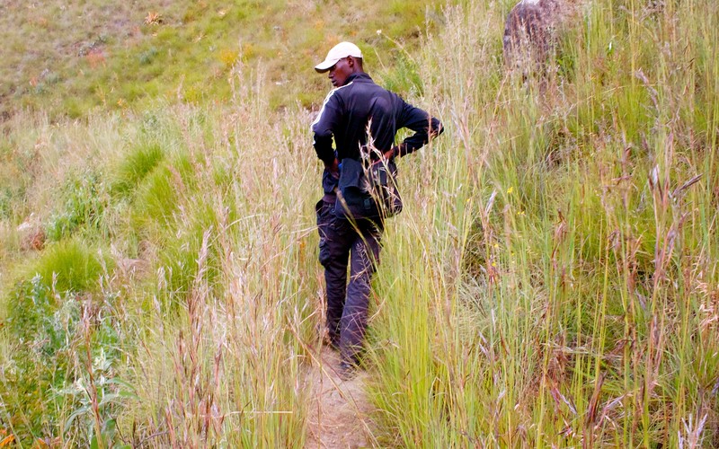 drakensberg mountains wiseman