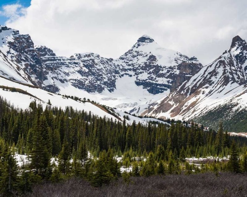 The Icefields Parkway has great snowshoeing trails.