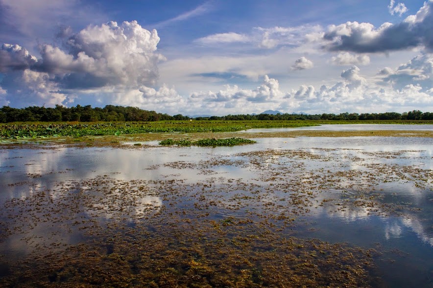 Reservoir at Hiriwadunna Village in Sri Lanka.