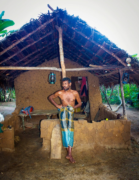 Farmer and elephant scarer at a village near Habarana in Sri Lanka.