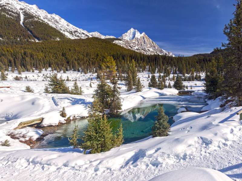 Ink Pots in Banff National Park