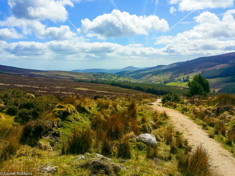 Walking the Wicklow Way from Enniskerry to Marlay Park, Dublin