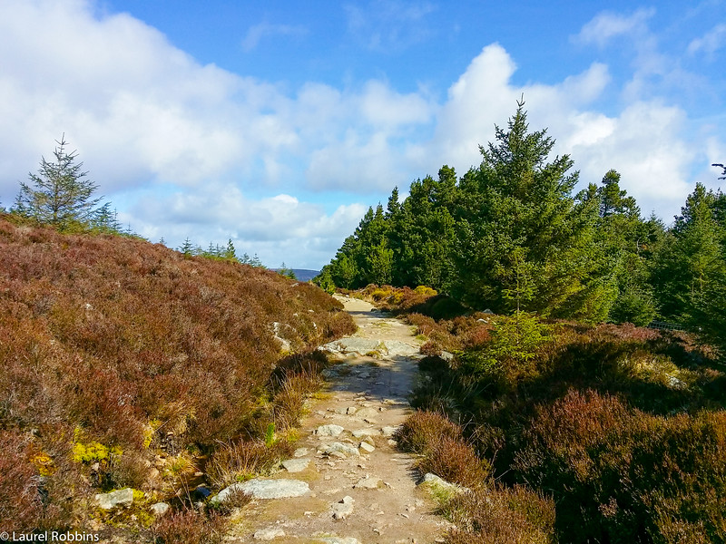 The Wicklow Way between Enniskerry and Marlay Park, Dublin