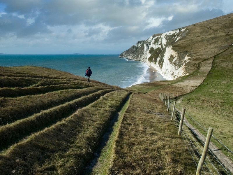 Chalk Cliffs in the Jurassic Coast