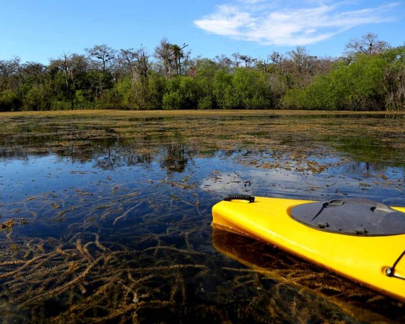 Kayaking is one of the best things to do in the Everglades