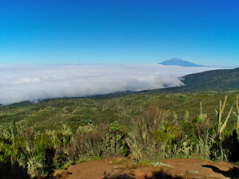 kilimanjaro machame route hiking tour