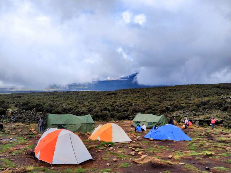 camping at shira 1 camp from the kilimanjaro hiking tour day 2