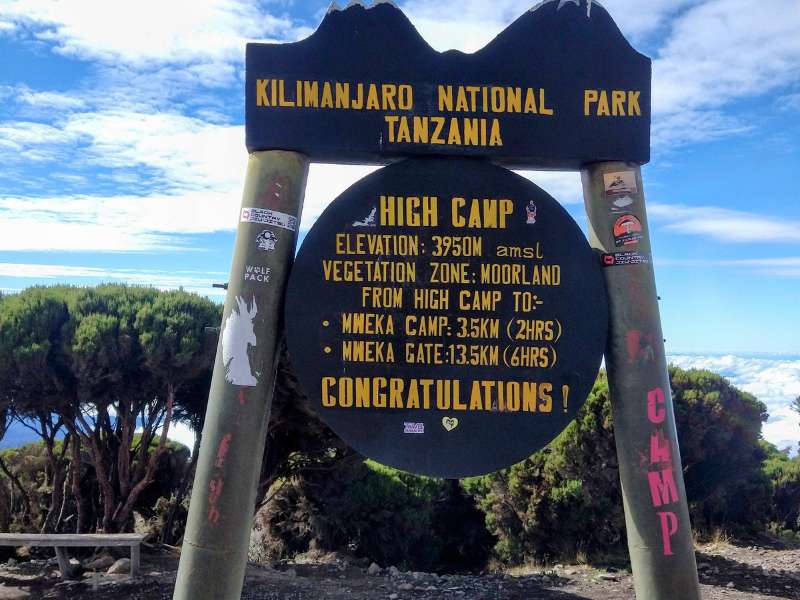 day 8 hiking the kilimanjaro at High Camp