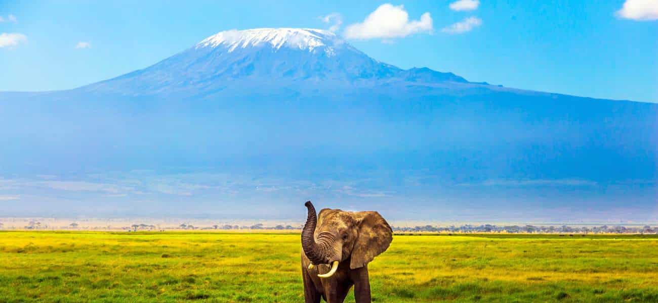 kilimanjaro hiking tour, lemosho route