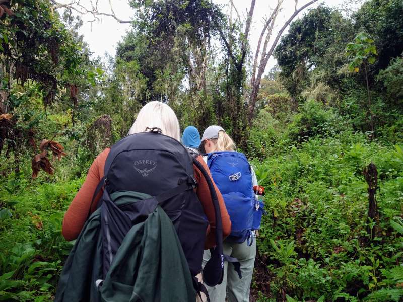 hikers on a journey for Kilimanjaro tour - Lemosho route