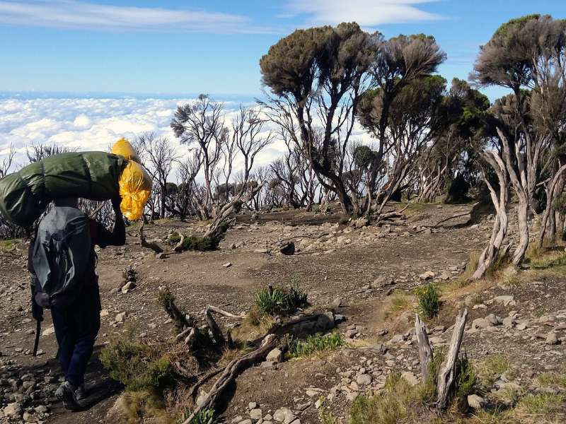 hiking the mount kilimanjaro lemosho route