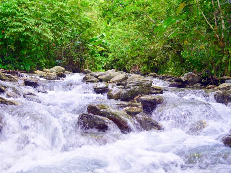 Kodoka Track in Papua New Guinea is one of the best mountain treks in the world