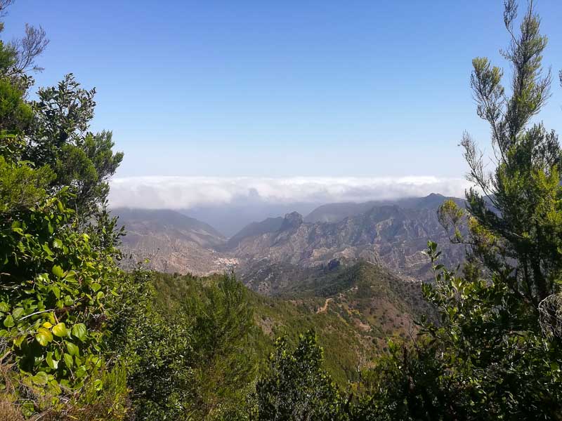 Garajonay National Park viewpoint