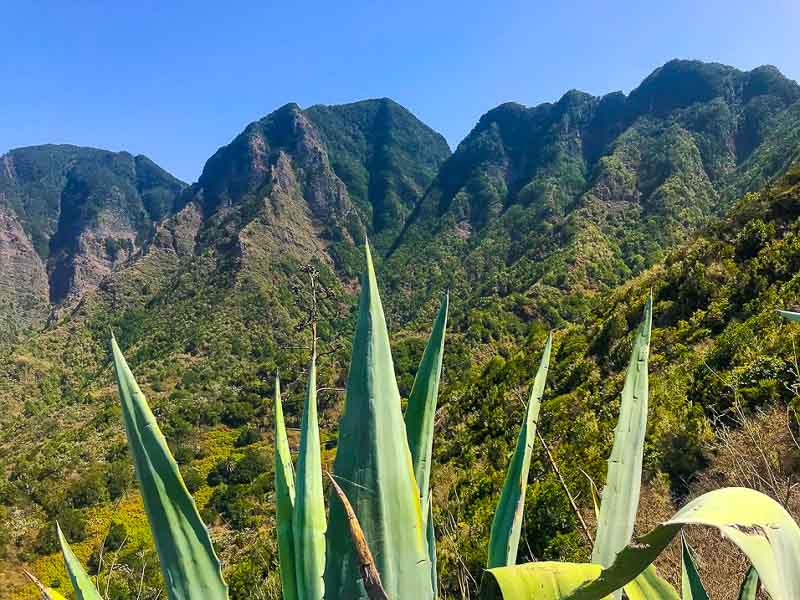 changing landscapes of La Gomera