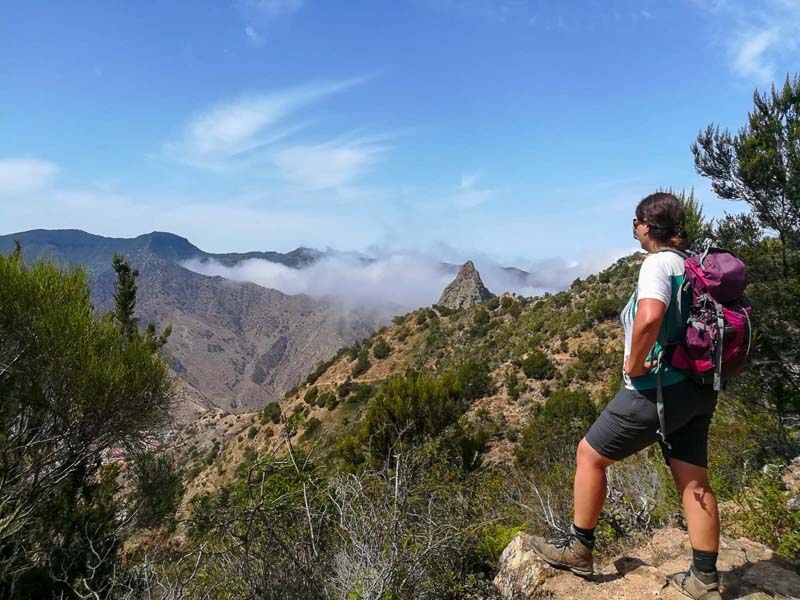 Laurel hiking in La Gomera