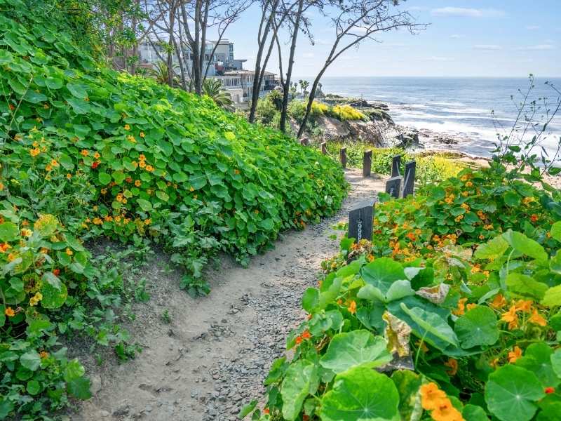 easy hikes at La Jolla Trail