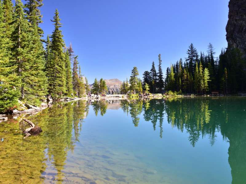 easy hikes in lake agnes trail